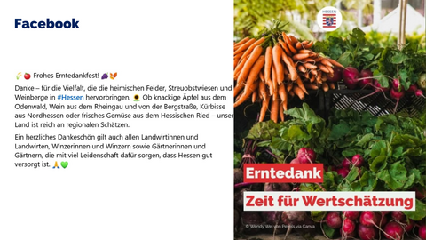 Rechteckige Fläche ist in 2 Bereiche unterteilt. Links steht der Inhalt des Facebook-Beitrags und rechts ist das passende Bild dazu.